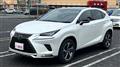 2020 Lexus NX