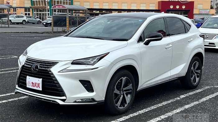 2020 Lexus NX