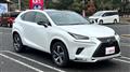 2020 Lexus NX