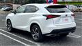 2020 Lexus NX