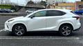 2020 Lexus NX