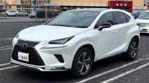 2020 Lexus NX