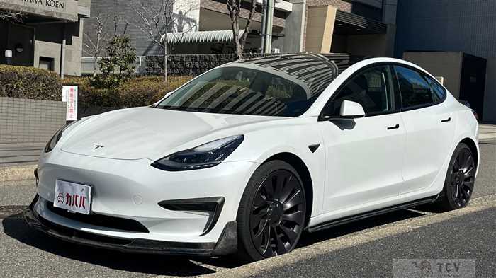 2020 Tesla Motors Others