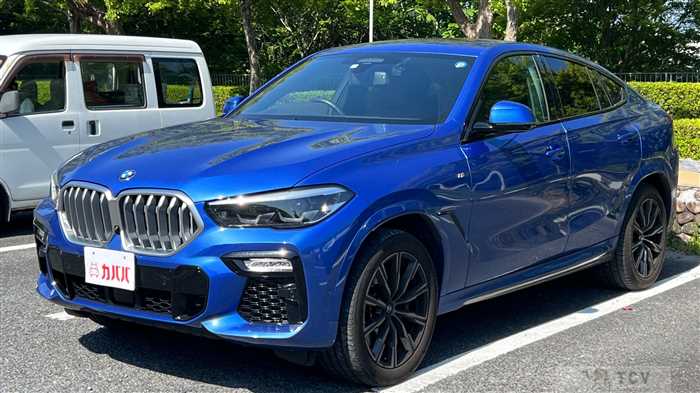 2020 BMW X6