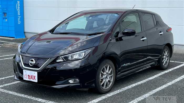 2017 Nissan Leaf