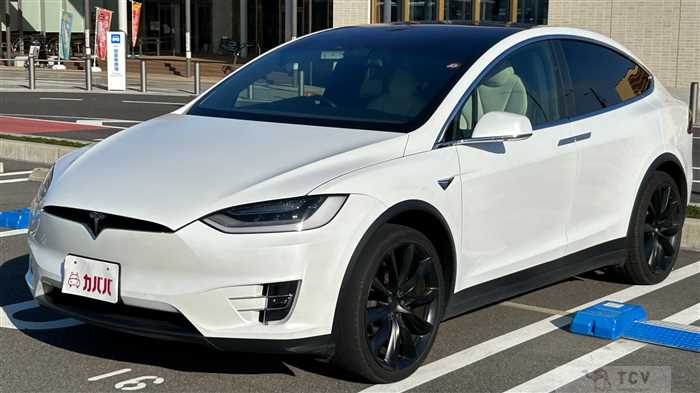 2020 Tesla Motors Others