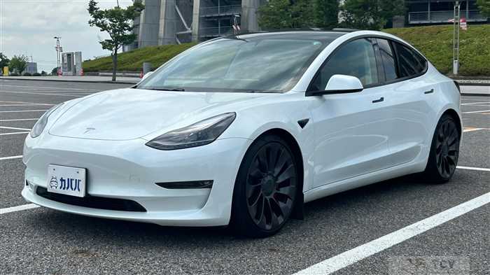 2021 Tesla Motors Others