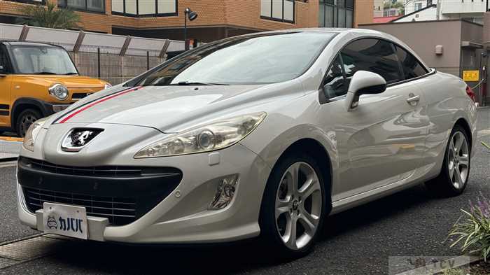 2010 Peugeot Peugoet Others