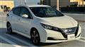 2019 Nissan Leaf