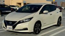 2019 Nissan Leaf