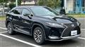 2020 Lexus RX
