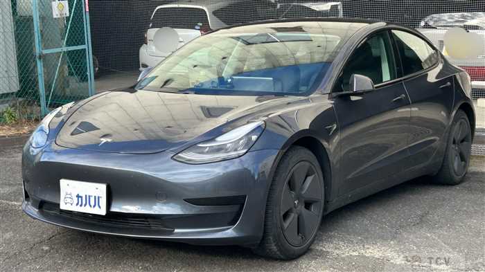 2020 Tesla Motors Others