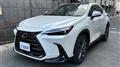 2023 Lexus NX