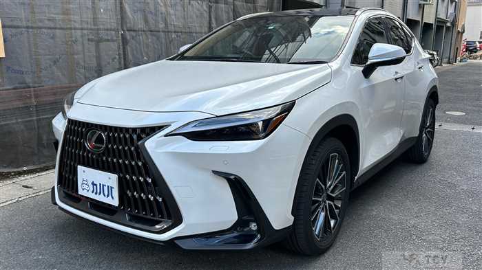 2023 Lexus NX