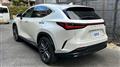 2023 Lexus NX