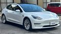 2021 Tesla Motors Others