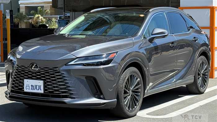 2024 Lexus RX