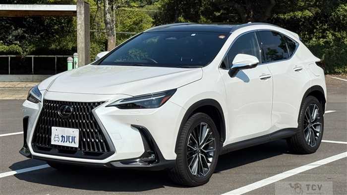 2023 Lexus NX