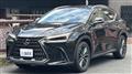 2023 Lexus NX