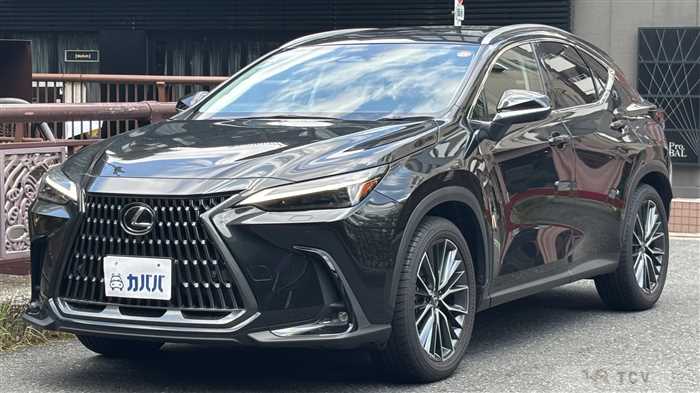 2023 Lexus NX