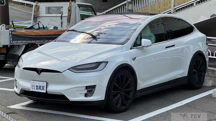 2017 Tesla Motors Others