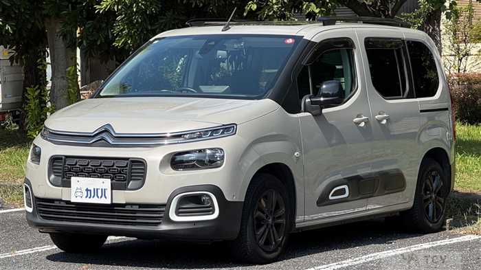2020 Citroen Citroen Others