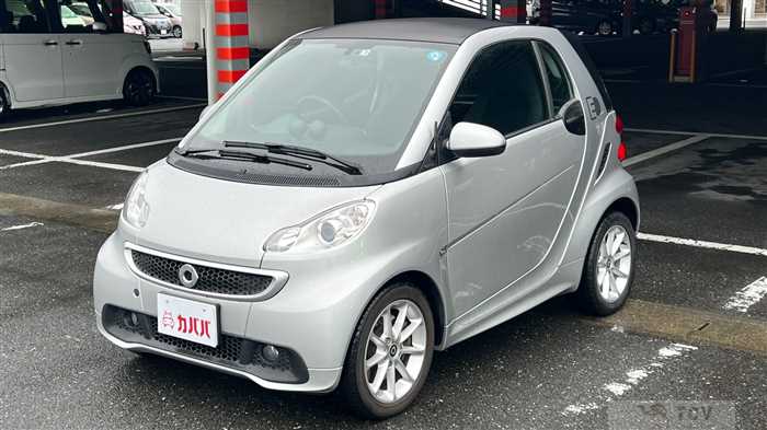 2013 Smart Smart Others