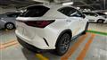 2025 Lexus NX
