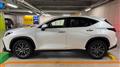 2025 Lexus NX