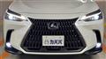 2025 Lexus NX