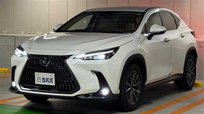 Lexus NX 2025 — фото 2 купить в Москве