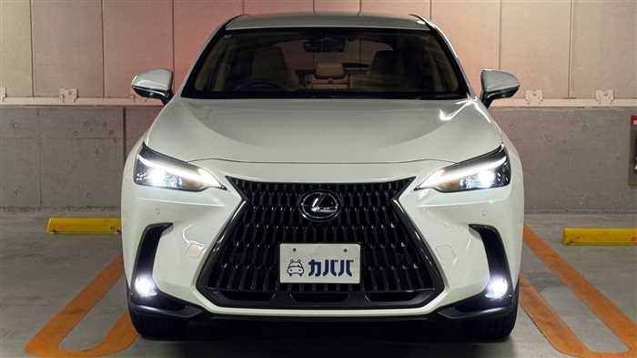 Lexus NX 2025 — фото 3 купить в Москве