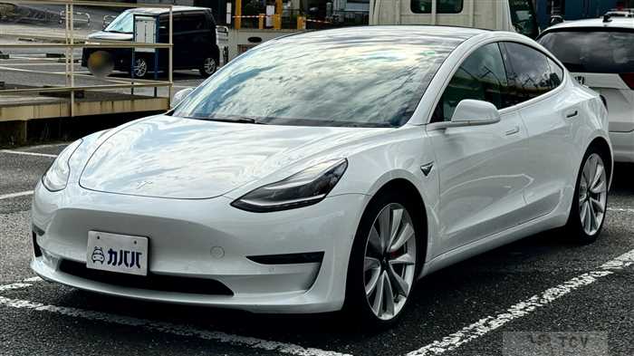2019 Tesla Motors Others