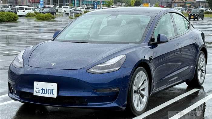 2020 Tesla Motors Others