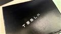 2020 Tesla Motors Others