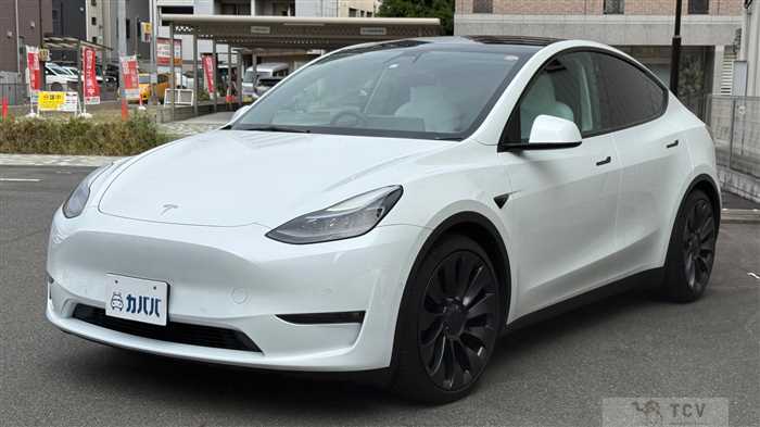 2023 Tesla Motors Others