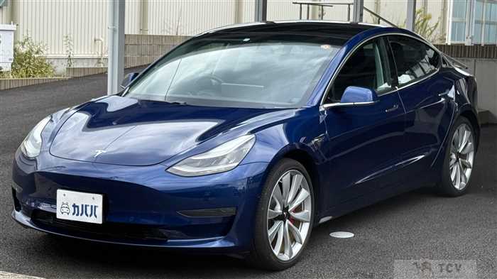2019 Tesla Motors Others