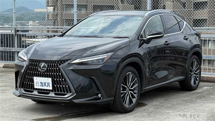 2023 Lexus NX