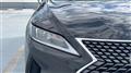 2020 Lexus RX