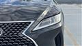 2020 Lexus RX