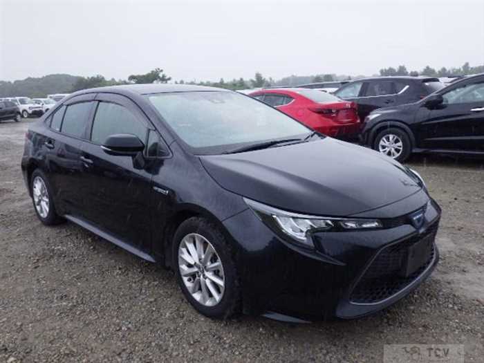 2019 Toyota Toyota Others