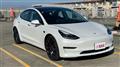 2020 Tesla Motors Others