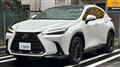 2023 Lexus NX