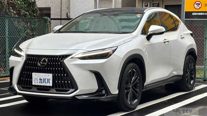 2023 Lexus NX