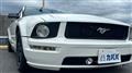2008 Ford Mustang