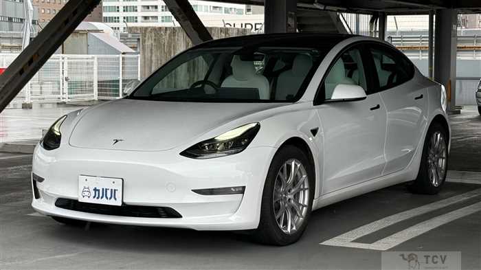 2021 Tesla Motors Others