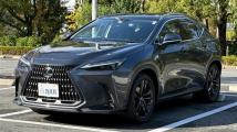 2023 Lexus NX