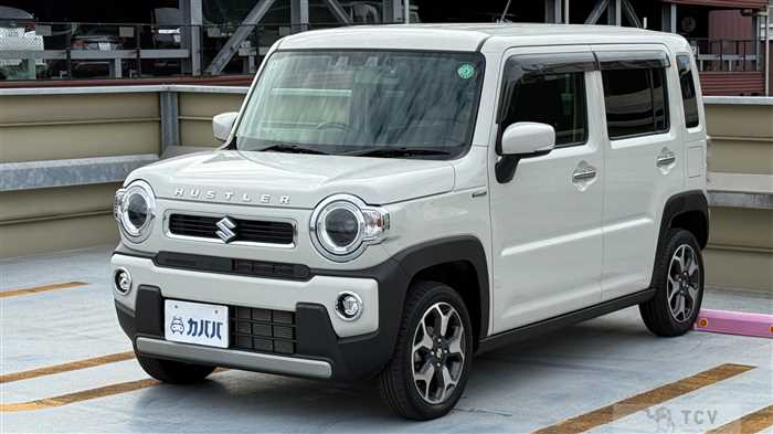 2024 Suzuki Hustler