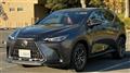 2024 Lexus NX