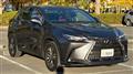 2024 Lexus NX